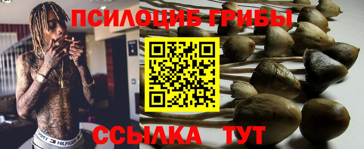 Кузнецк  Псилоцибиновые грибы Psilocybine cubensis  Галлюциногенные грибы MAGIC MUSHROOMS  Вход с VPN 