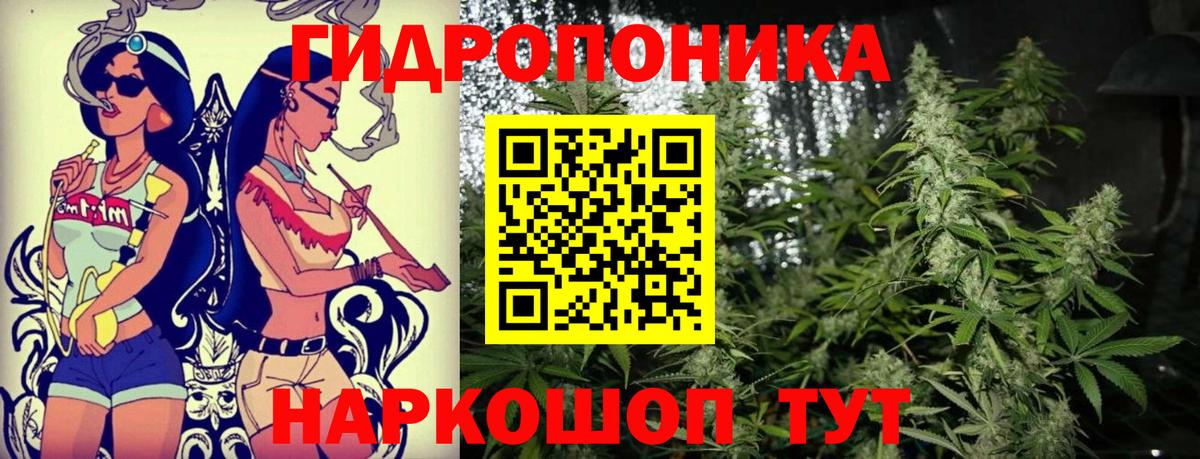Кузнецк  МАРИХУАНА семена  Вход с VPN  Бошки марихуана OG Kush  МАРИХУАНА SATIVA & INDICA 